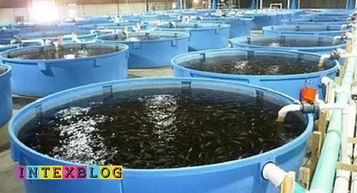 سایز استخر پرورش ماهی قزل آلا